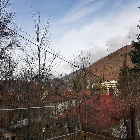 Casa Serban Villa Sinaia Dış mekan fotoğraf