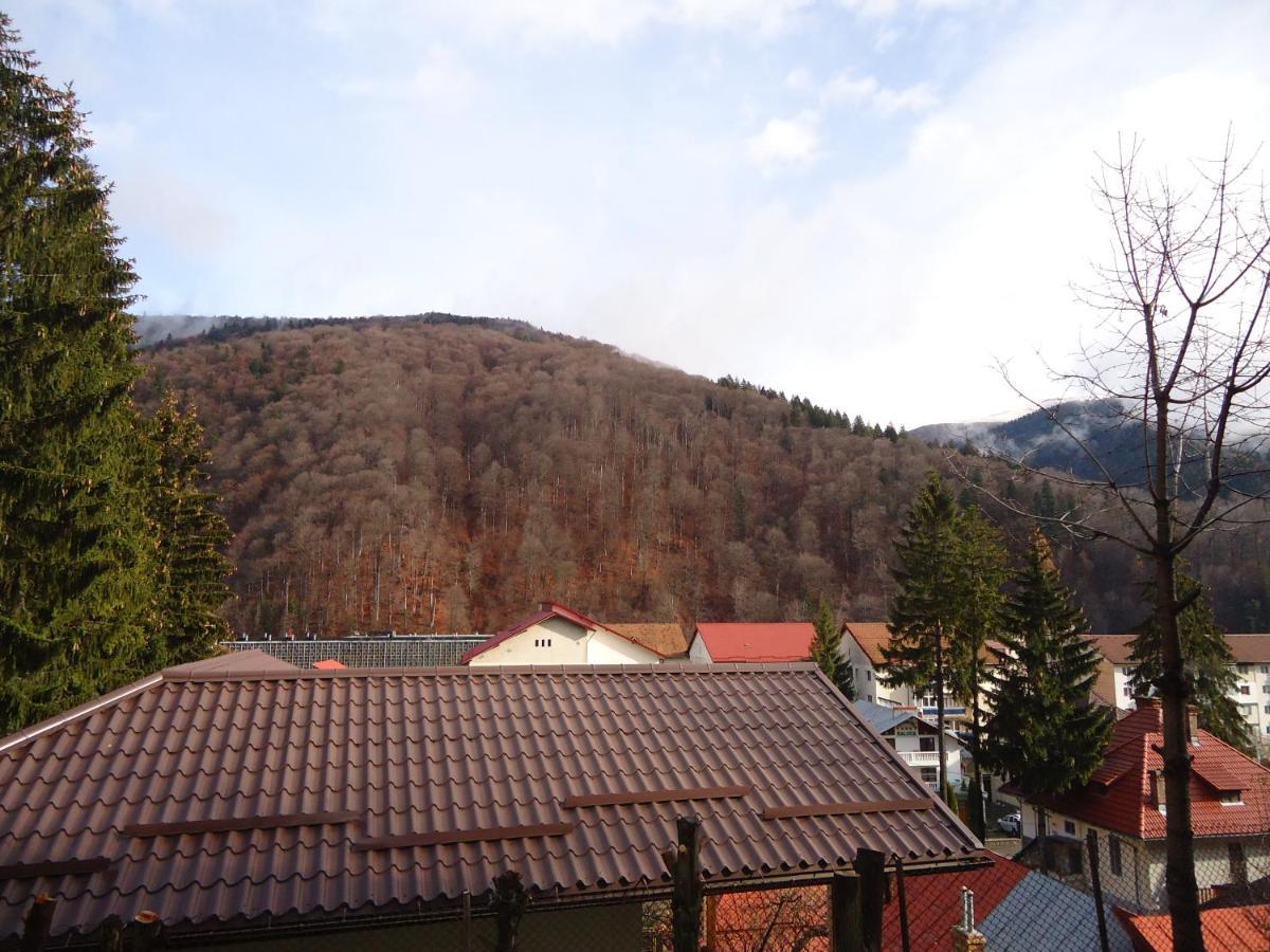 Casa Serban Villa Sinaia Dış mekan fotoğraf