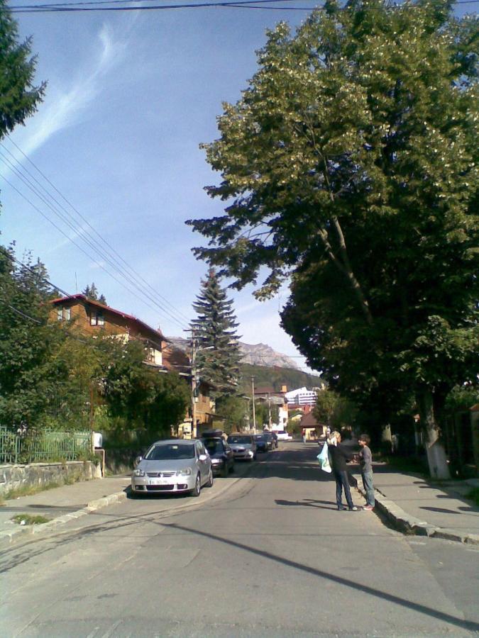 Casa Serban Villa Sinaia Dış mekan fotoğraf