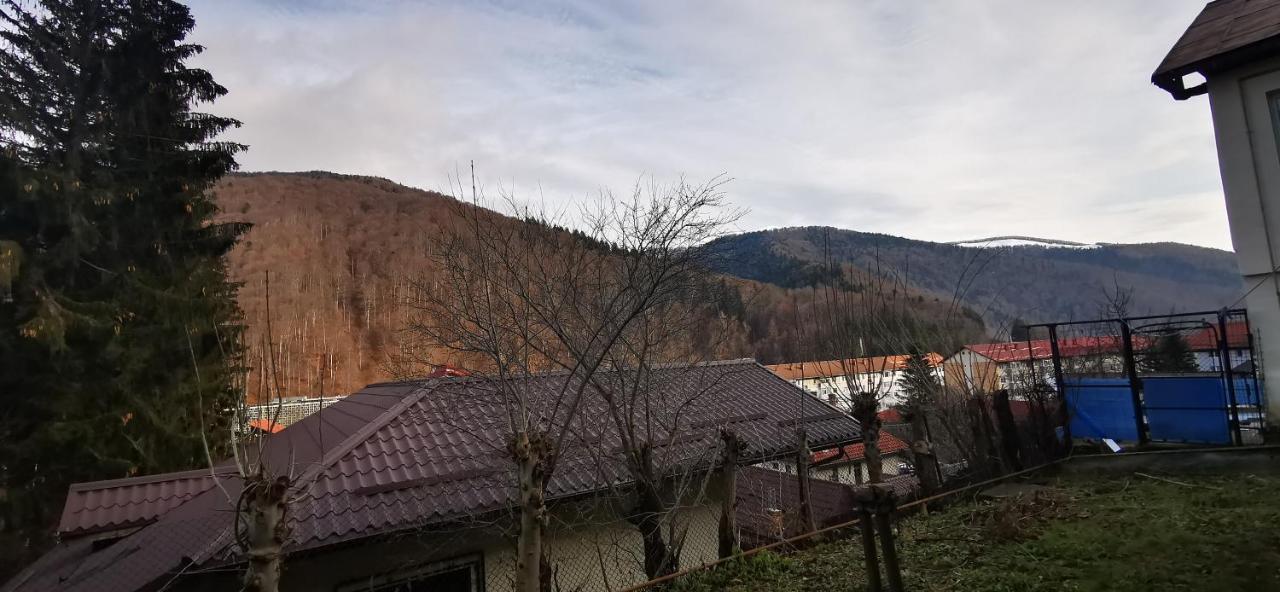 Casa Serban Villa Sinaia Dış mekan fotoğraf