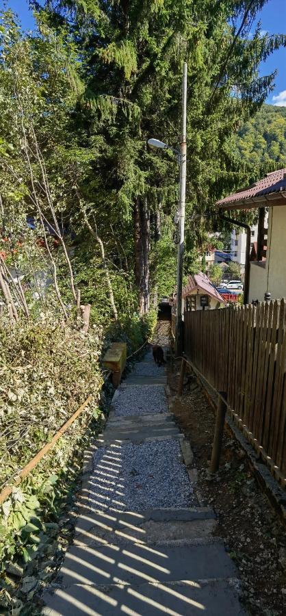 Casa Serban Villa Sinaia Dış mekan fotoğraf