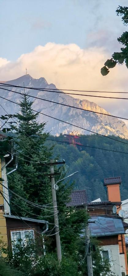 Casa Serban Villa Sinaia Dış mekan fotoğraf