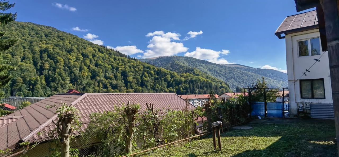 Casa Serban Villa Sinaia Dış mekan fotoğraf