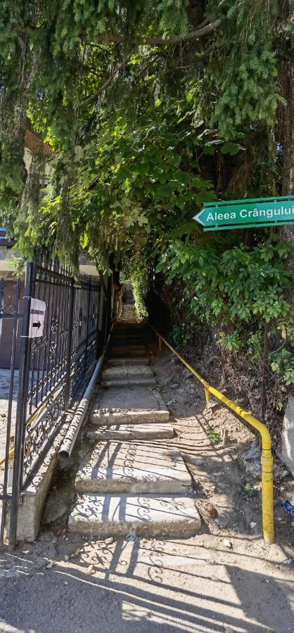 Casa Serban Villa Sinaia Dış mekan fotoğraf