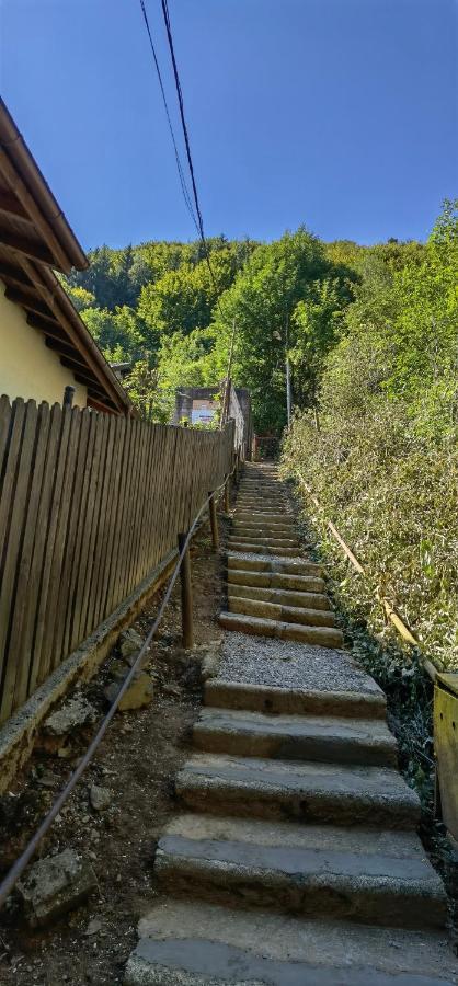 Casa Serban Villa Sinaia Dış mekan fotoğraf