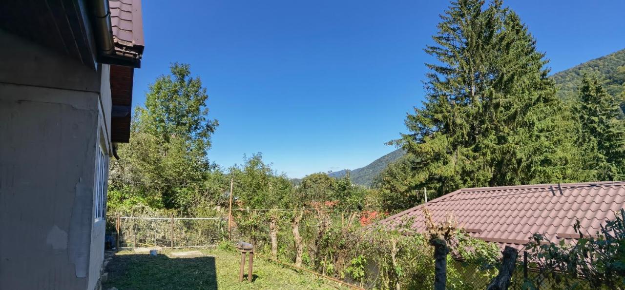 Casa Serban Villa Sinaia Dış mekan fotoğraf