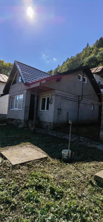 Casa Serban Villa Sinaia Dış mekan fotoğraf